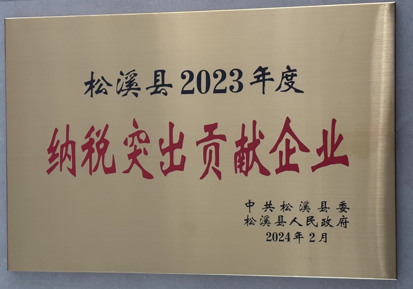 喜報(bào)！易順建工集團(tuán)榮獲“松溪縣2023年度納稅突出貢獻(xiàn)企業(yè)”稱號(hào)